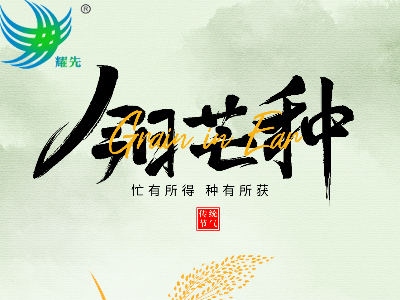 芒种遇世界环境日 | 耕耘希望，守护蔚蓝：易游体育环境与您共赴绿色之约